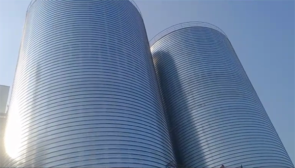 伽师2座混凝土高架卷板仓